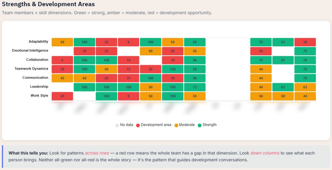 Strengths and development areas heatmap showing team members versus seven capability sub-categories with color-coded scores